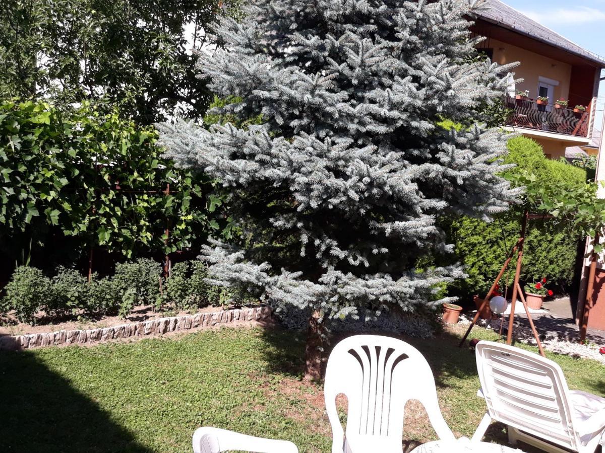 Lázár Apartmanok Hévíz Esterno foto