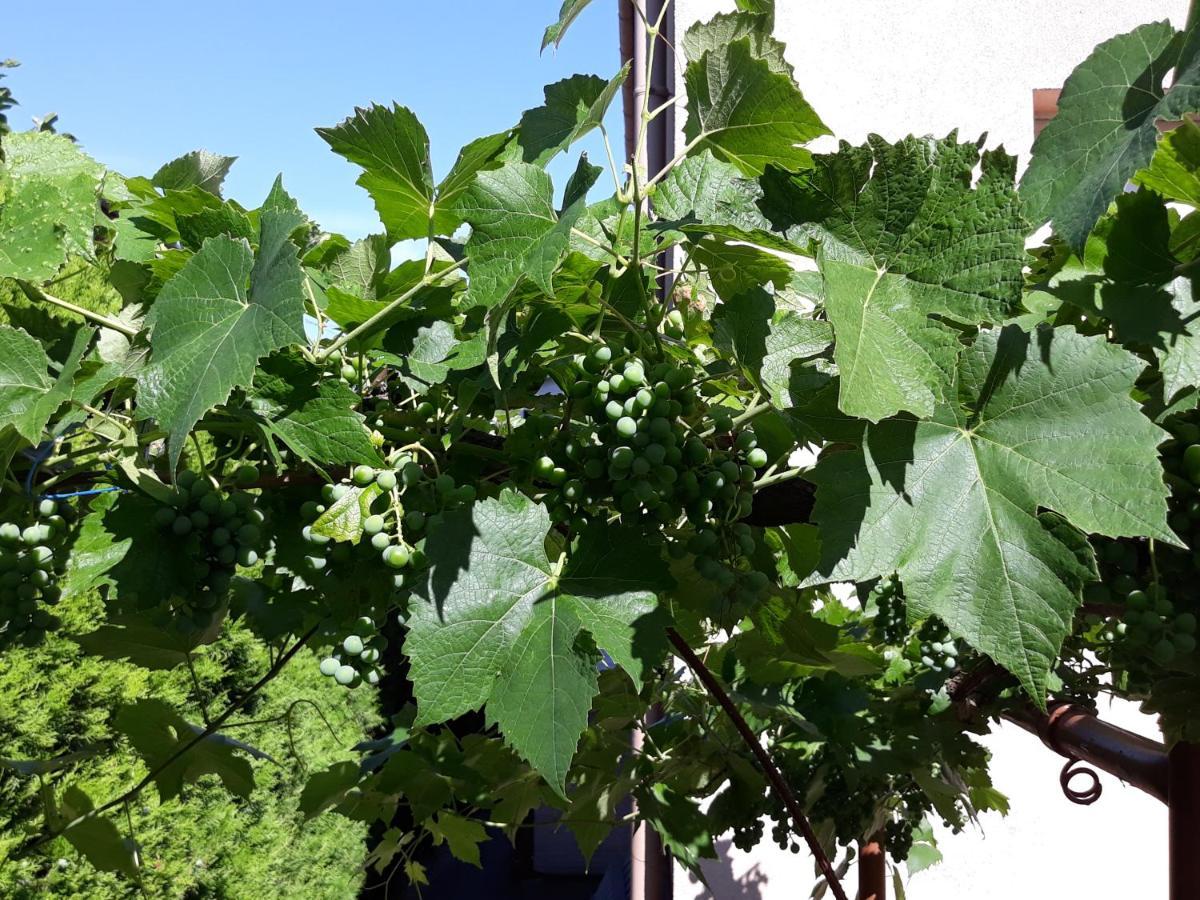 Lázár Apartmanok Hévíz Esterno foto
